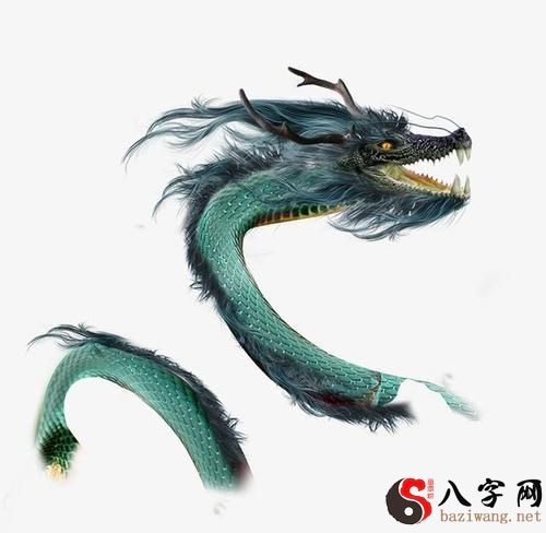 梦见龙带着蛇